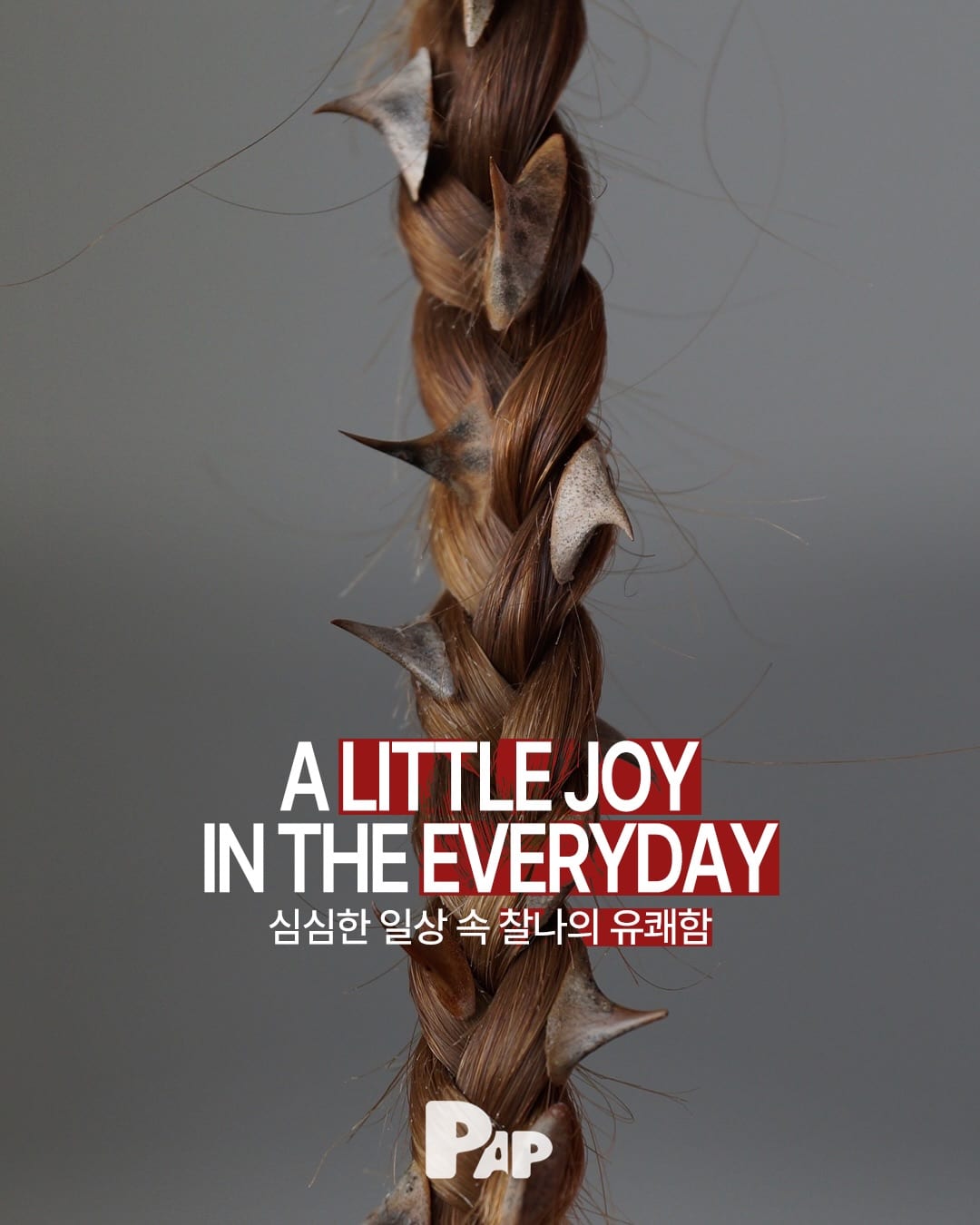 A Little Joy in the Everyday — Cover