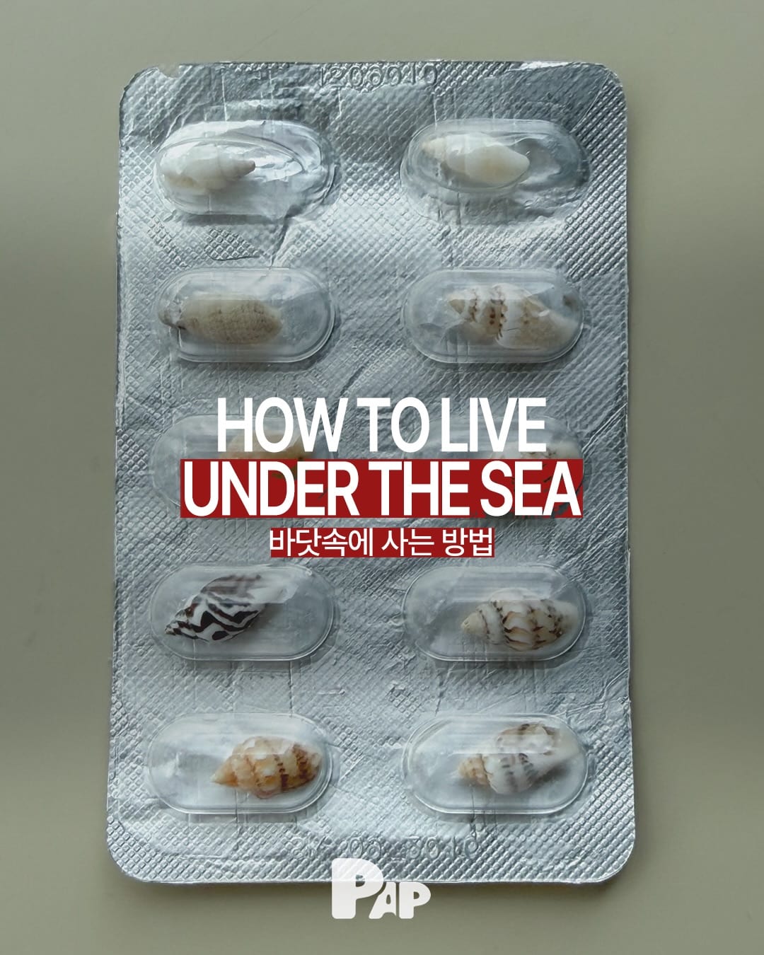 Mer: portare il mare sulla terraferma — Cover
