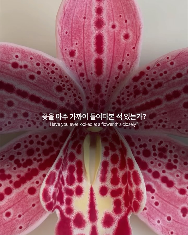 손보다 커진 난초, 실물이 아니라 조각이다 — Look 2