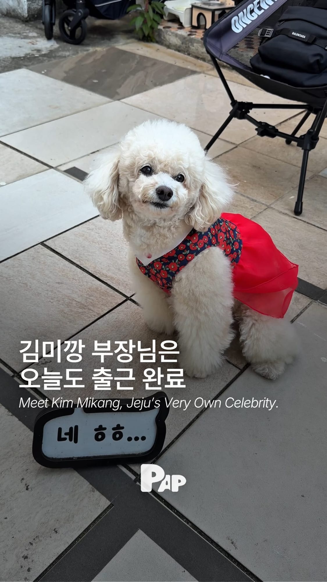 제주 하귀 마을 셀럽, 김미깡을 만나다 — Cover
