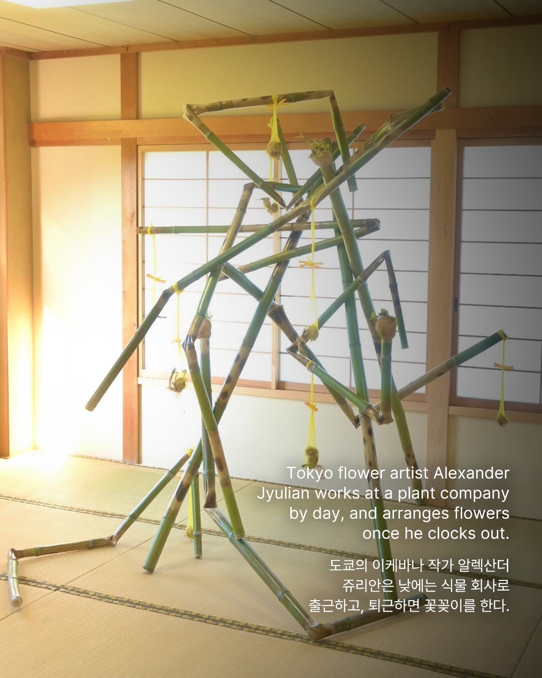 오이로 잇는 이케바나의 정신 — ikebana, Look 2