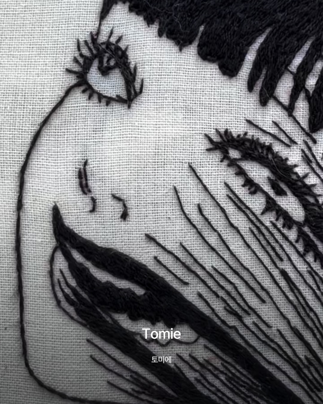 실로 그린 만화, 킴 홉굿의 자수 아트 — Look 4