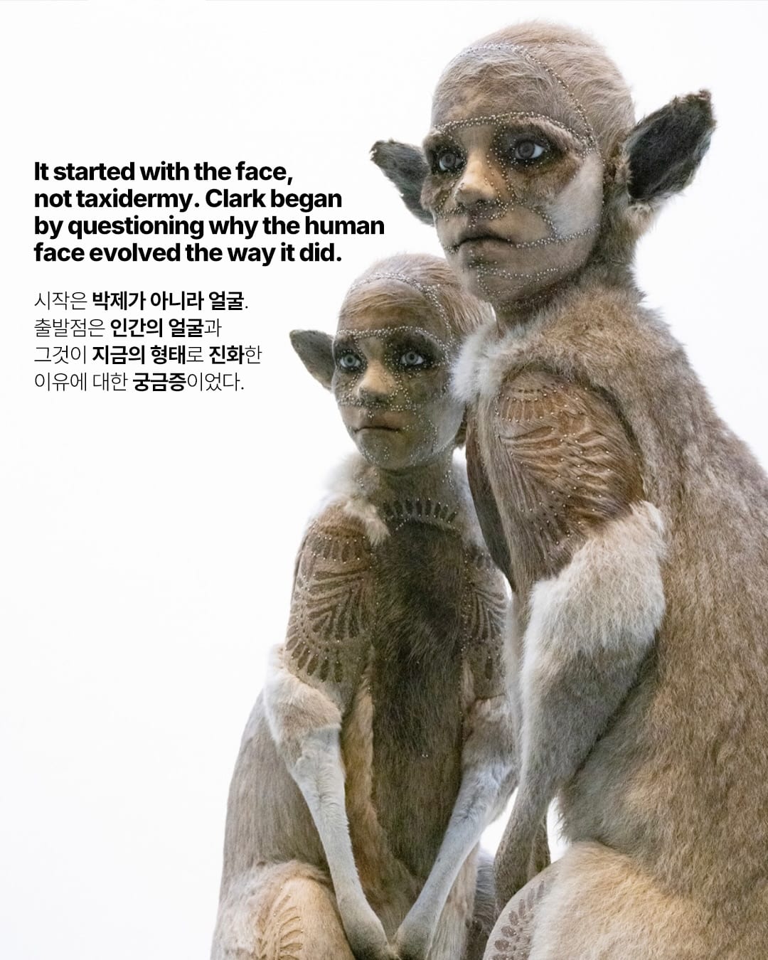동물이 인간의 얼굴을 갖는 순간 — kate clark, Look 3