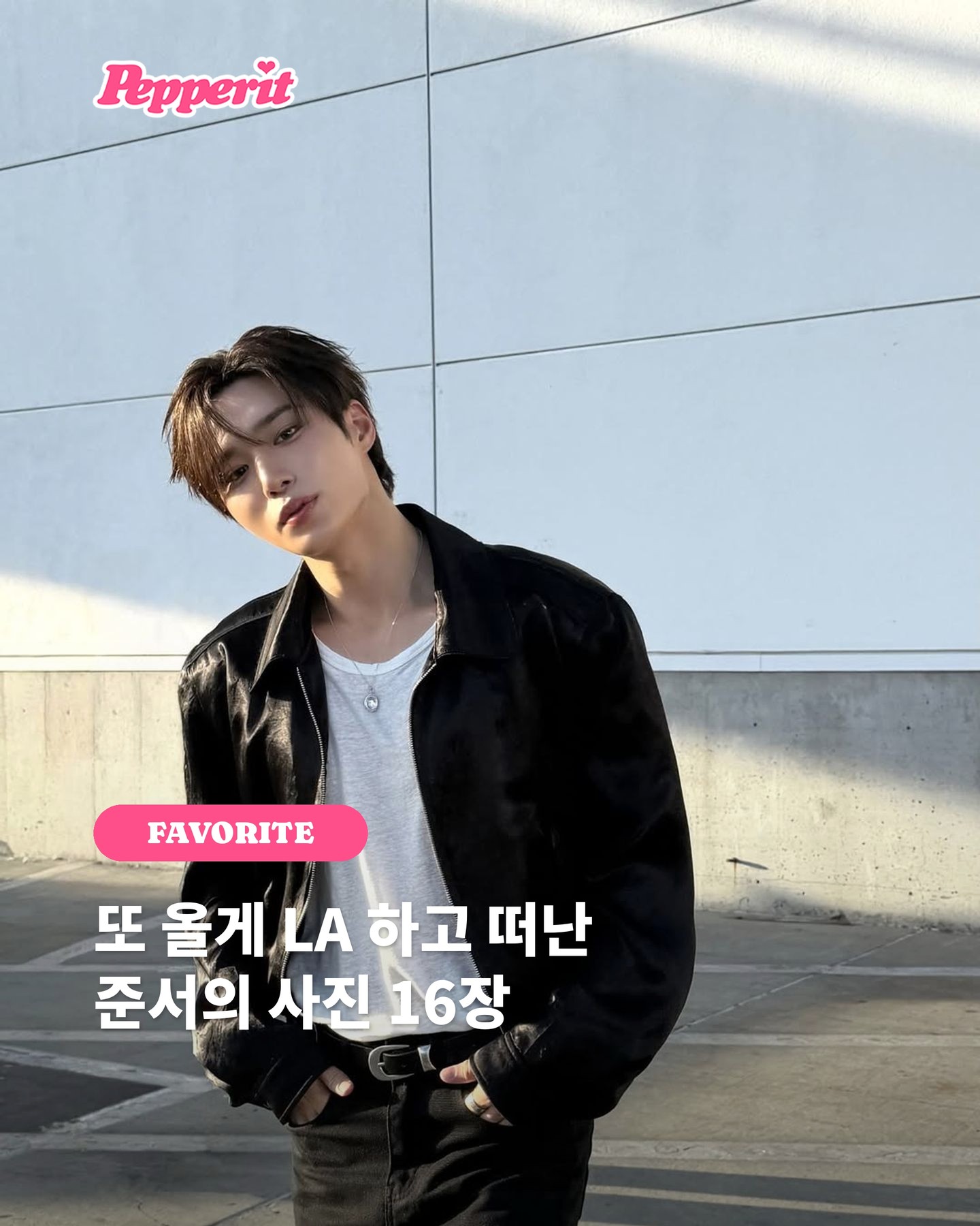 준서가 LA에서 남기고 간 사진 16장