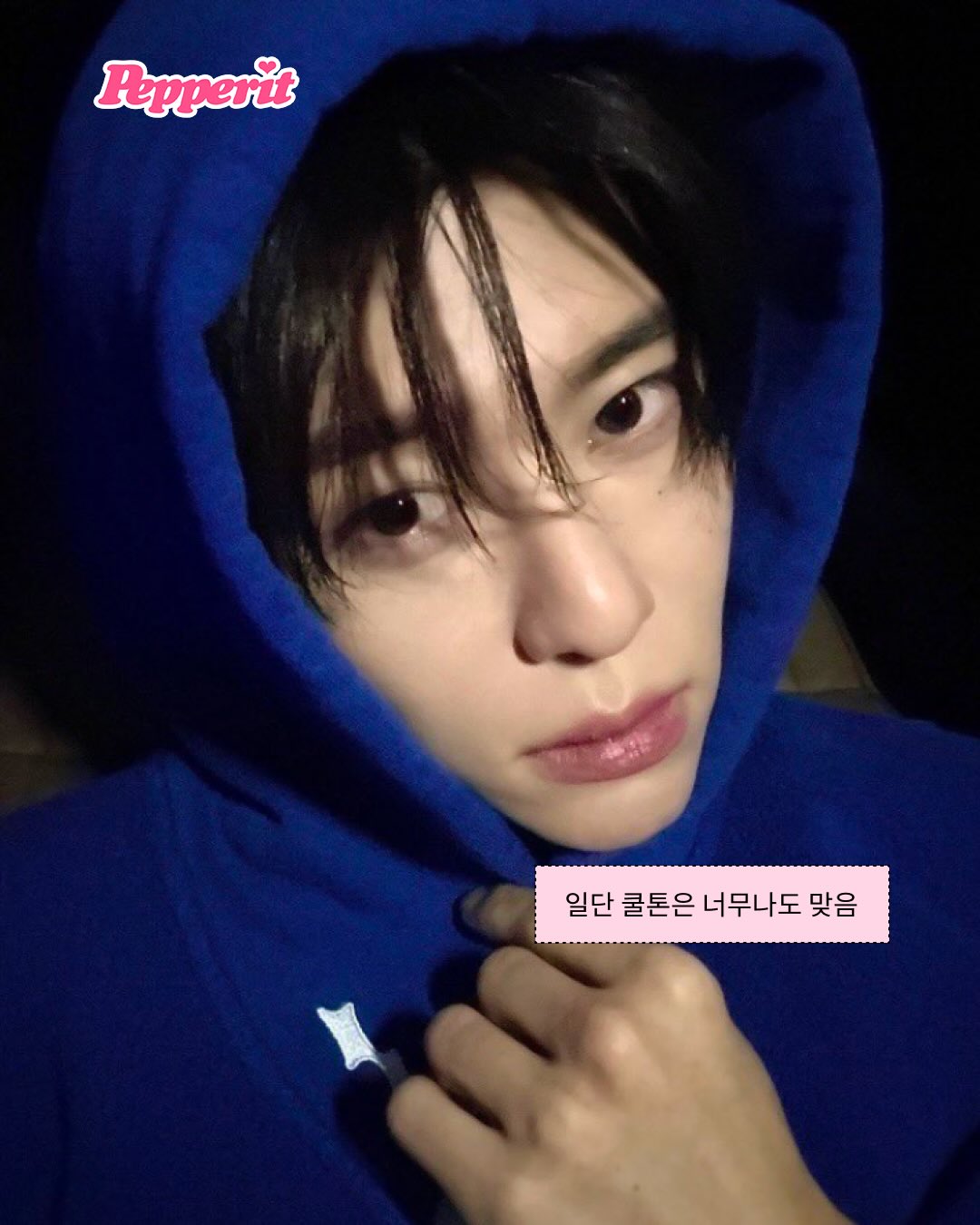 겨울 스트롱 시온 VS 핑크 머리 시온, 당신의 픽은?