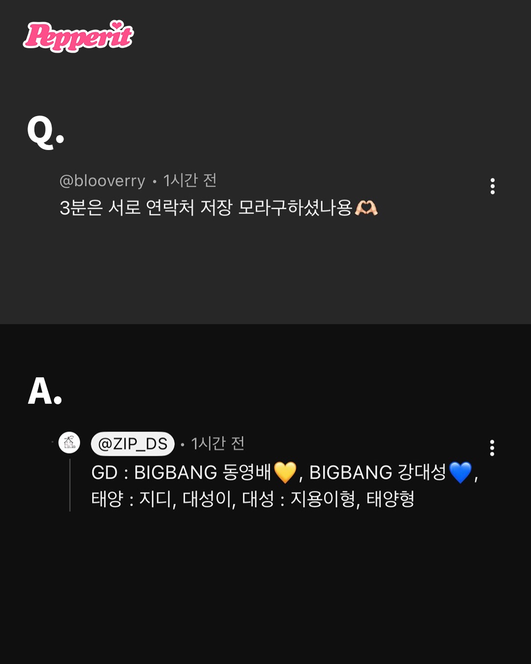 이름 몰라도 누군지 아는 빅뱅 20주년 Q&A
