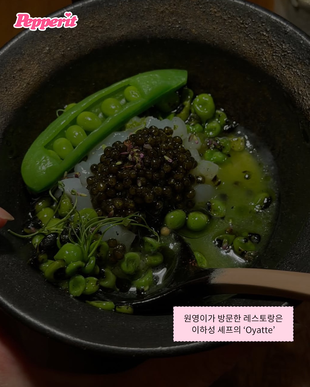 워뇨 공주의 고저스한 뉴욕 힐링