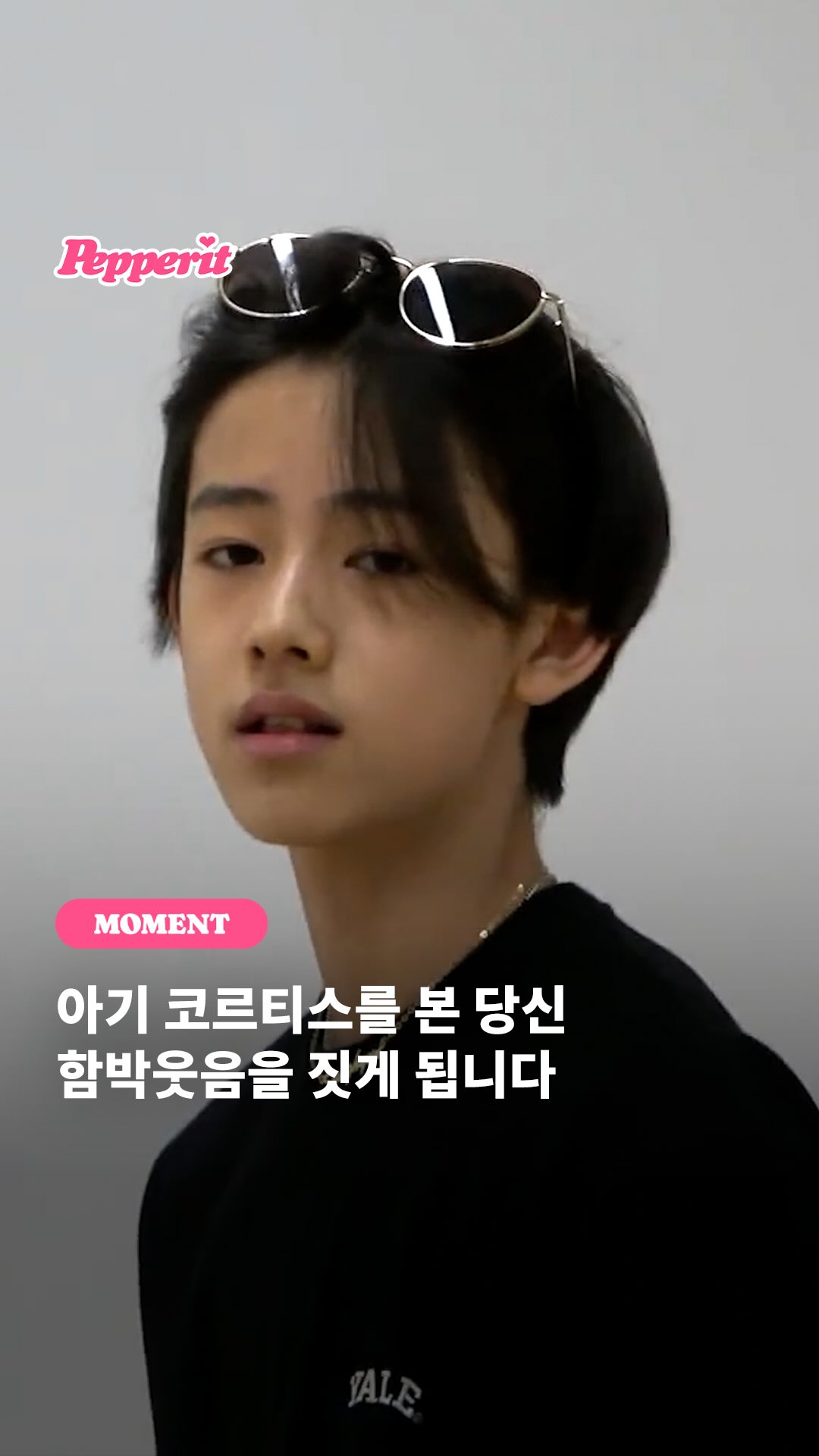 아기 코르티스가 이렇게 귀여워도 되나요