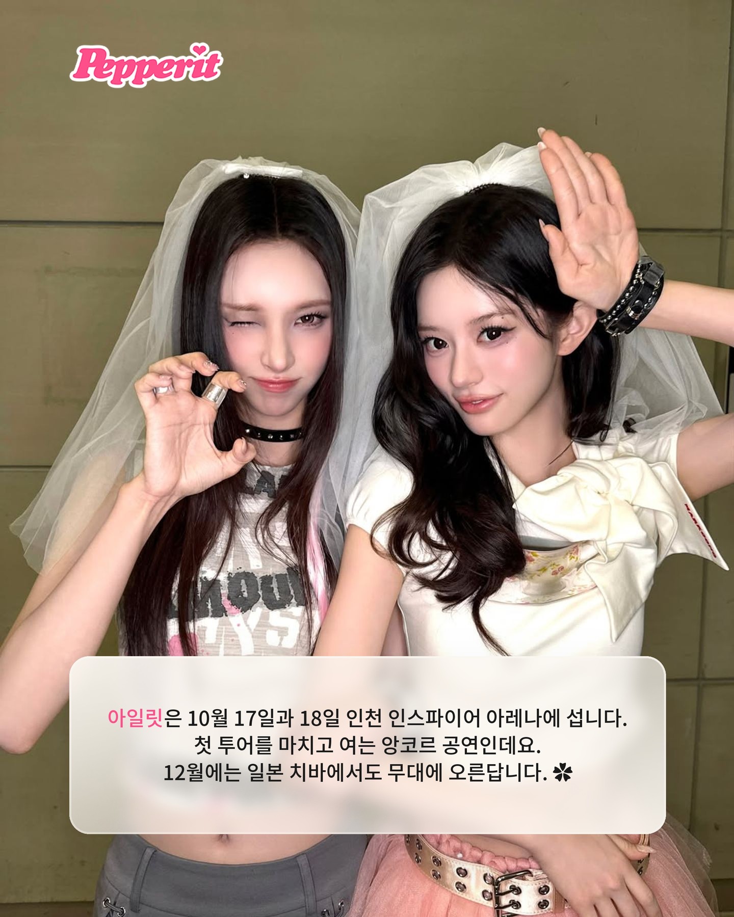 아일릿, 하루 만에 트로피 3개 싹쓸이한 이유