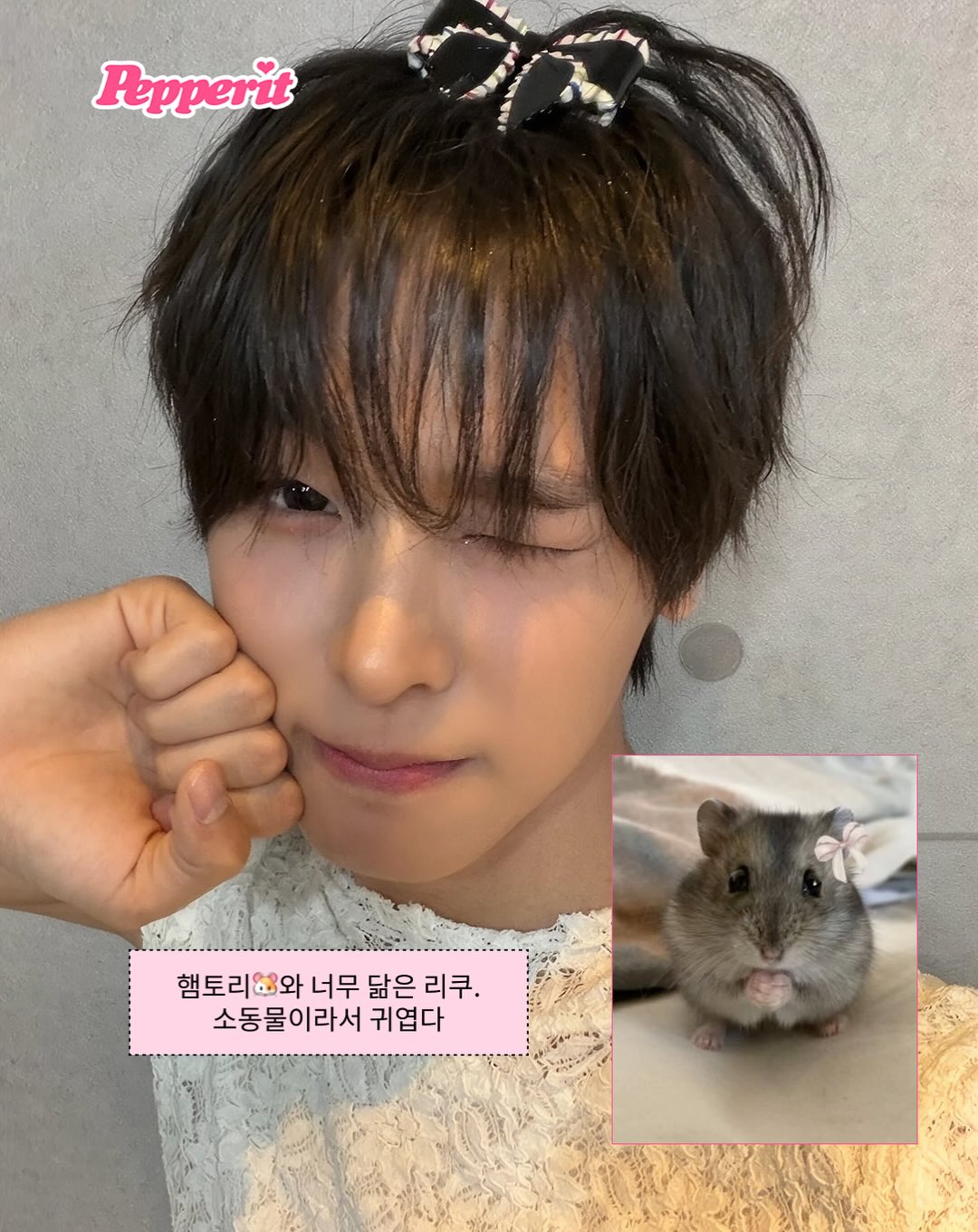 작아서 더 귀여워~ 소동물 아이돌을 알아보자