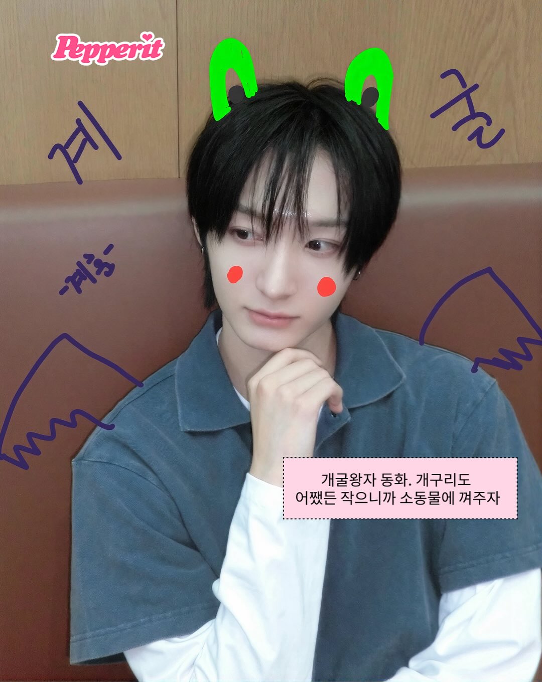 작아서 더 귀여워~ 소동물 아이돌을 알아보자