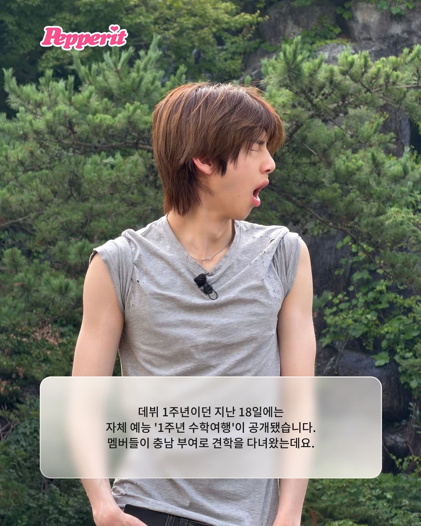 코르티스, 1년 전 그 체육관으로…데뷔 첫날의 약속 지킨다