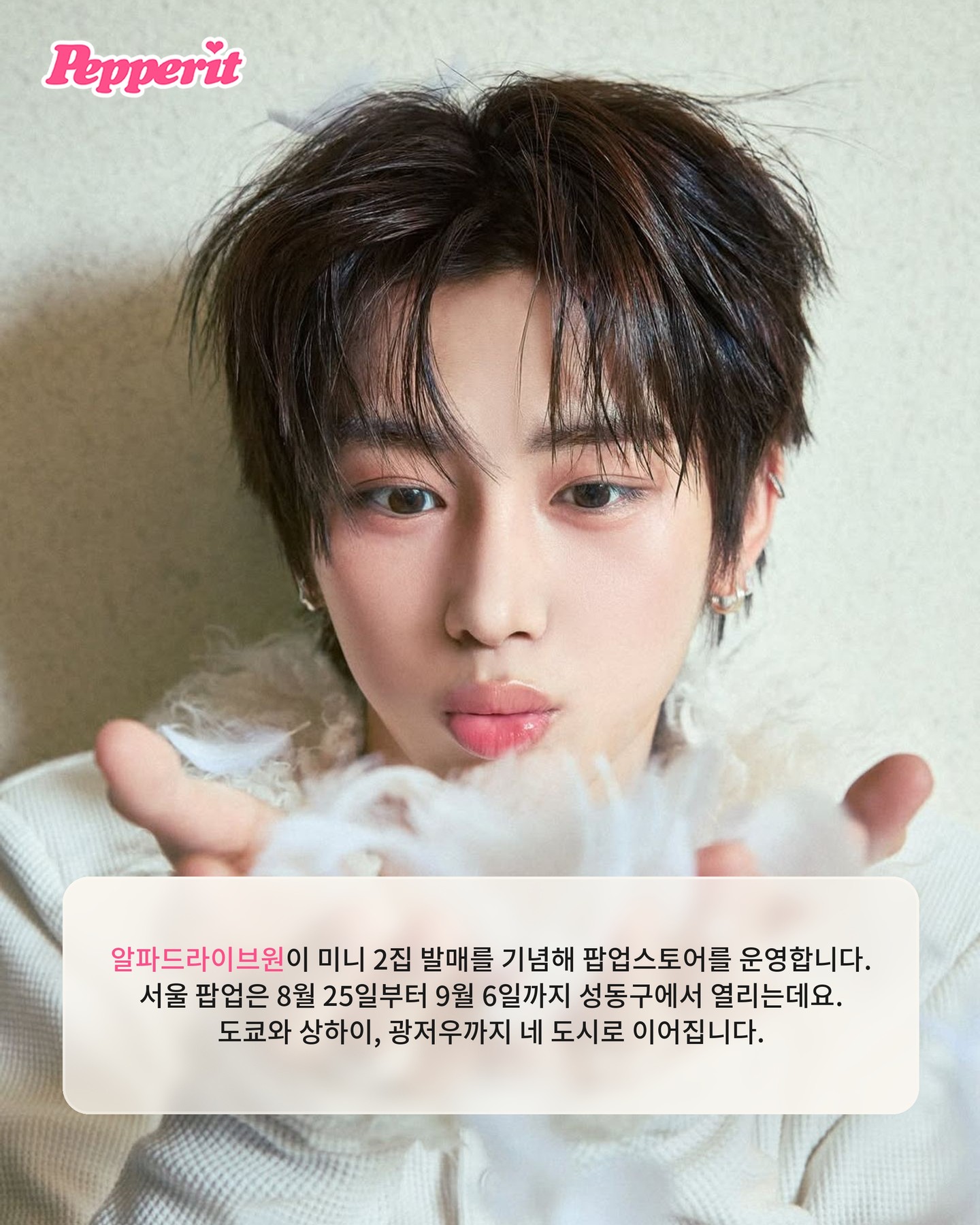 알파드라이브원, 컴백 기념 팝업 서울·도쿄·상하이·광저우 4개 도시 동시 오픈