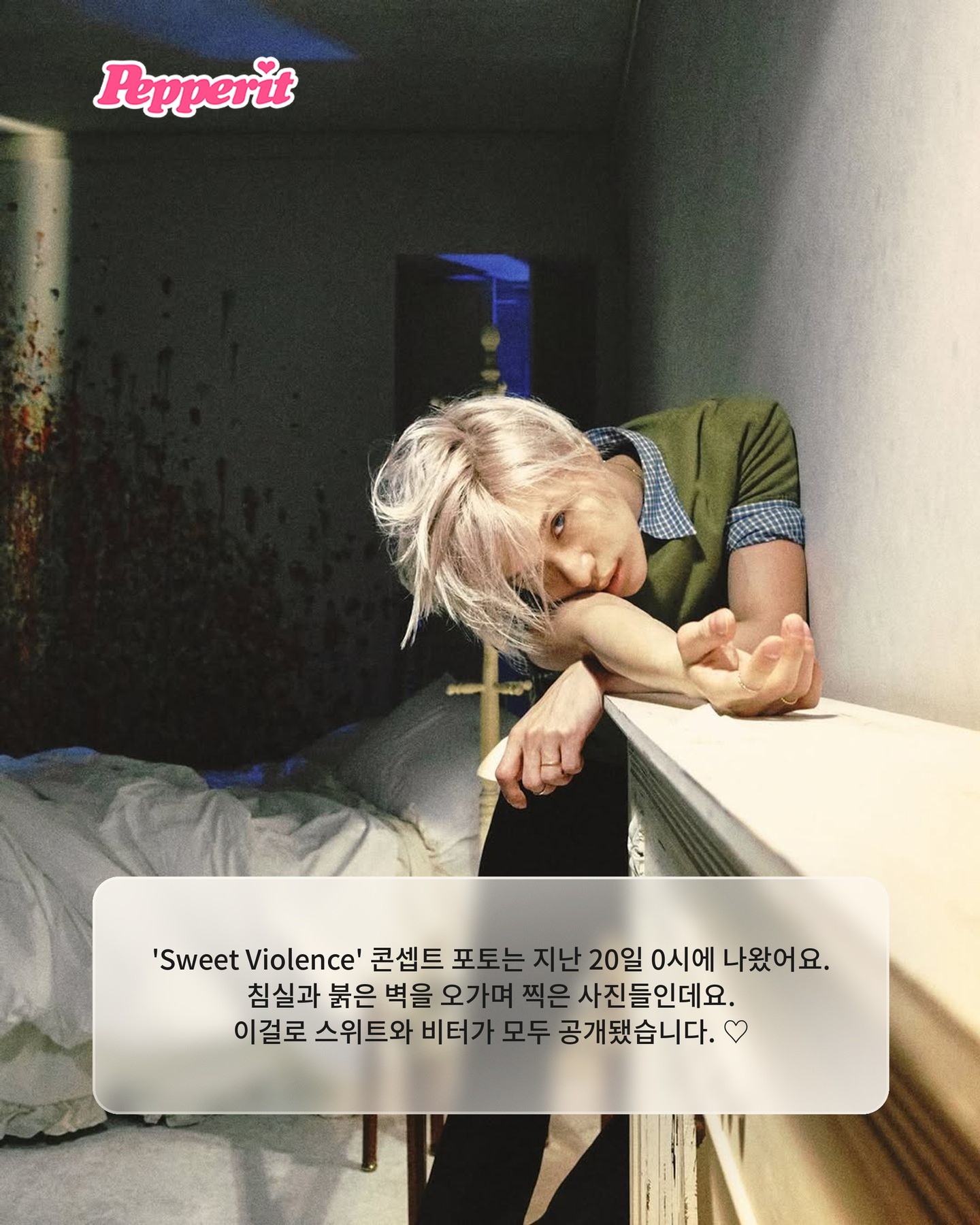 태민, 'Soft Violence' 비터 콘셉트 공개…8월 31일 컴백