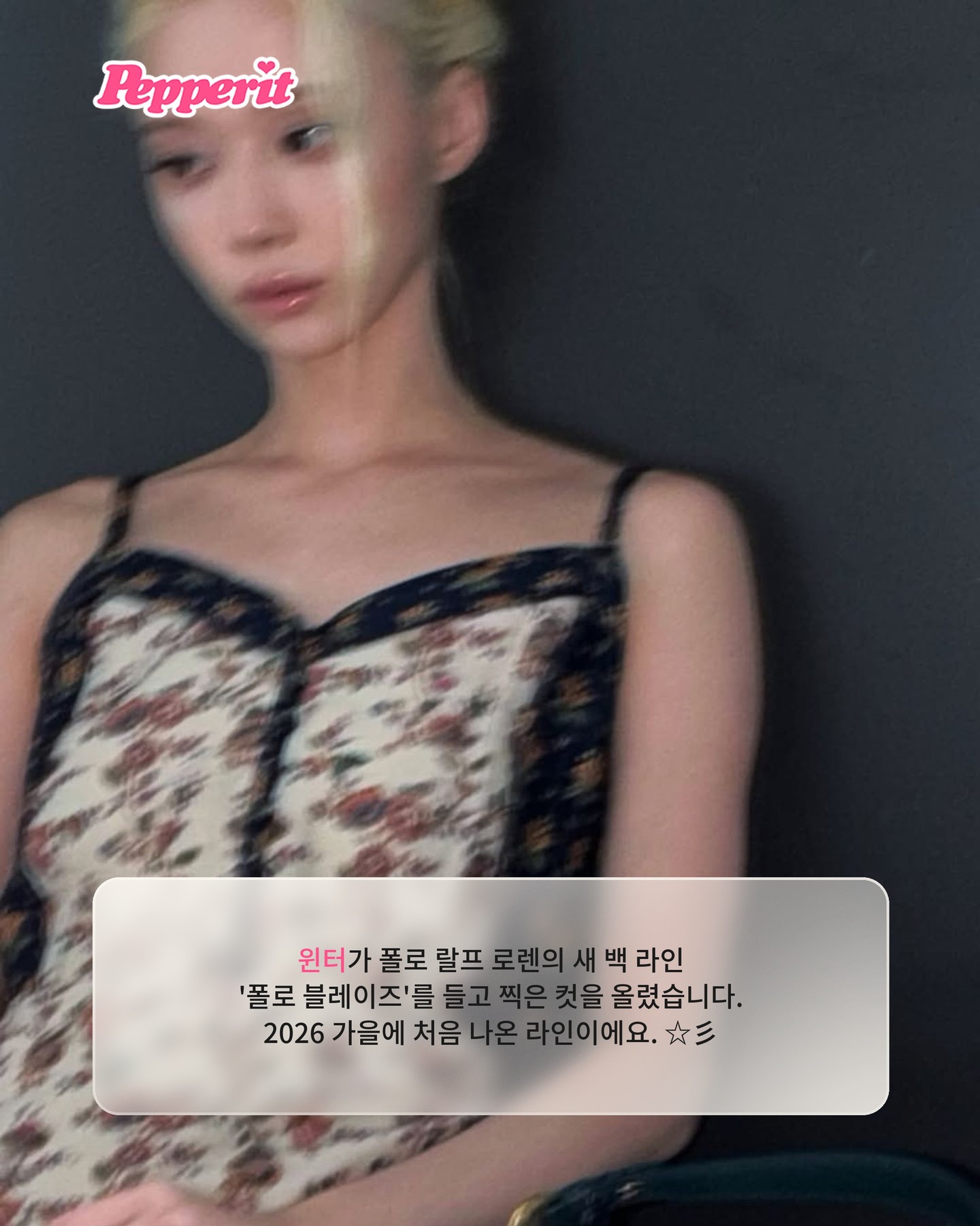윈터가 든 폴로 랄프 로렌 신상 백, 이름의 비밀은