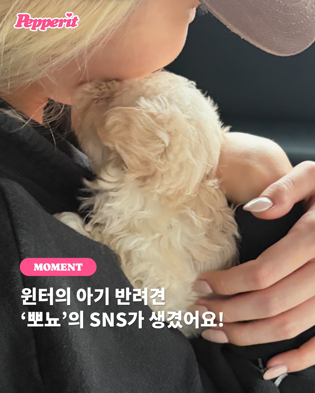 윈터의 반려견 뽀뇨, 단독 인스타그램 계정 오픈