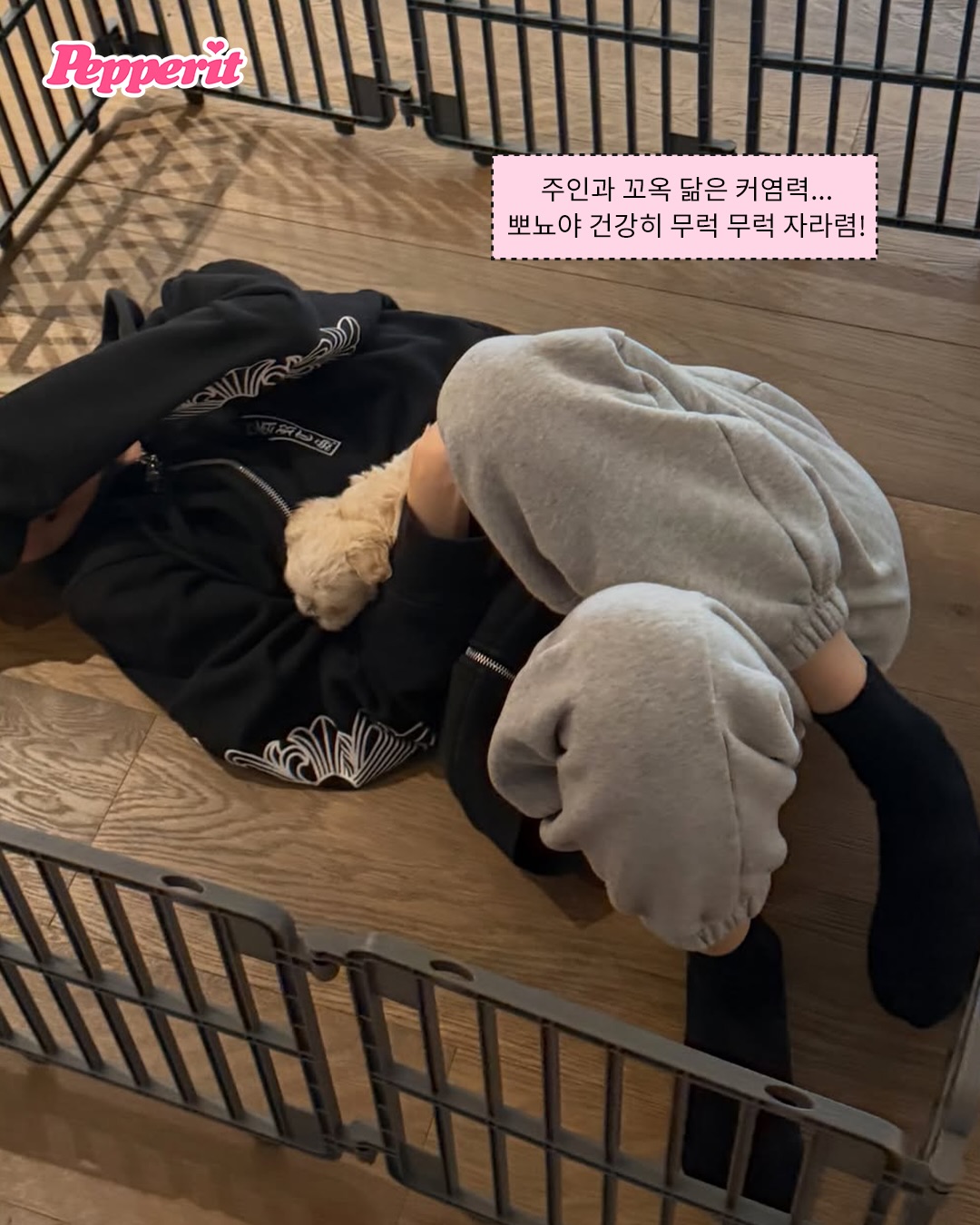 윈터의 반려견 뽀뇨, 단독 인스타그램 계정 오픈