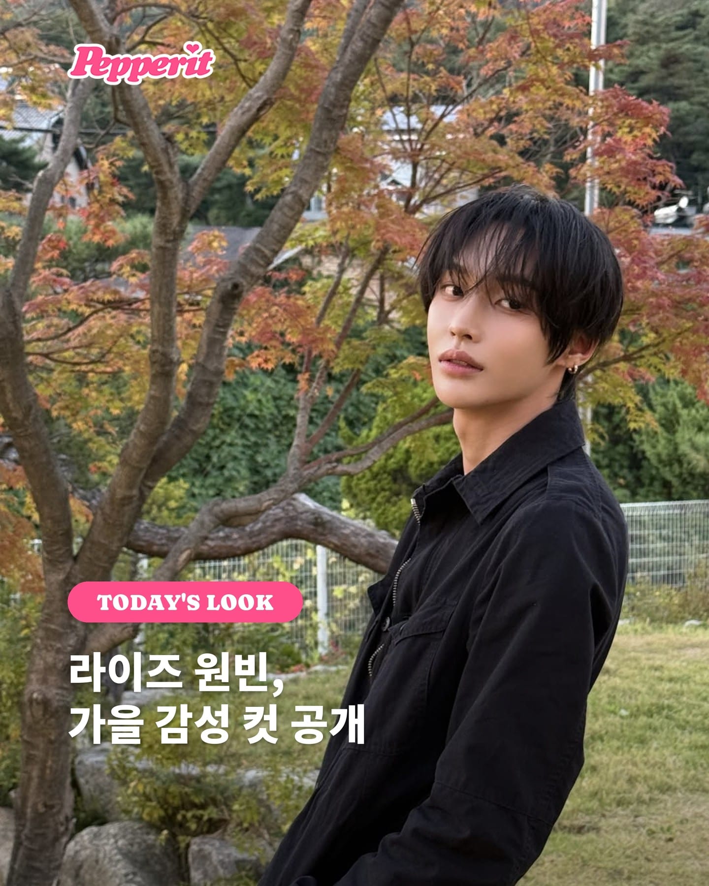 라이즈 원빈, 가을 단풍 앞 올블랙 룩 공개
