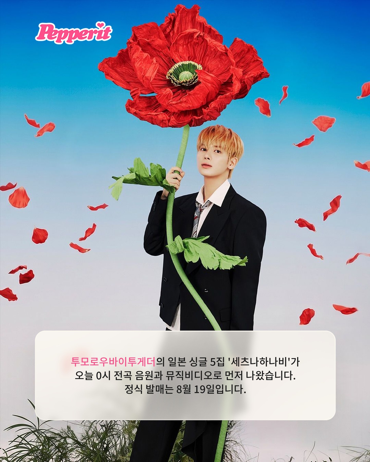 투바투, 일본 신보 '세츠나하나비' 전곡 음원 먼저 공개