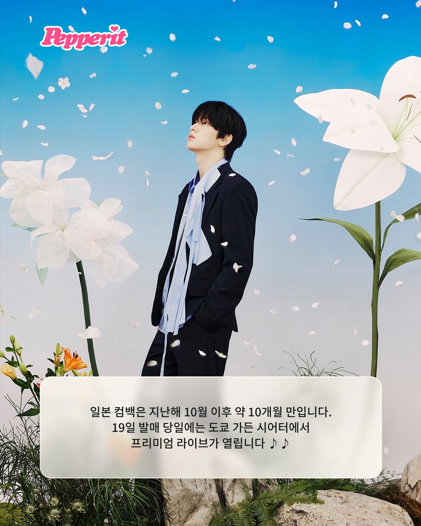 투바투, 일본 신보 '세츠나하나비' 전곡 음원 먼저 공개