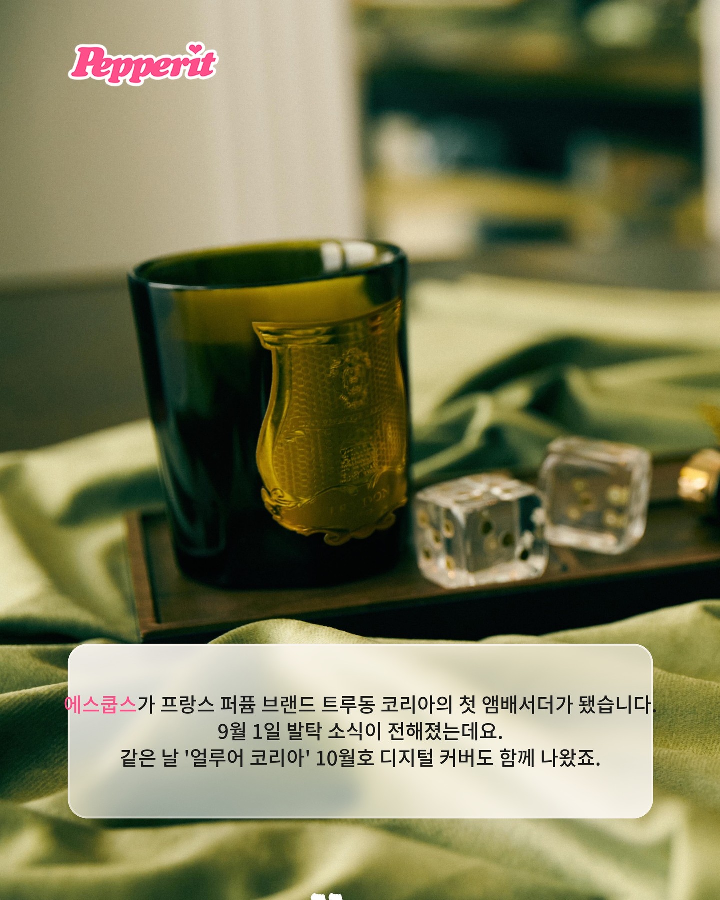 에스쿱스, 평소 애용하던 트루동 첫 앰배서더 발탁