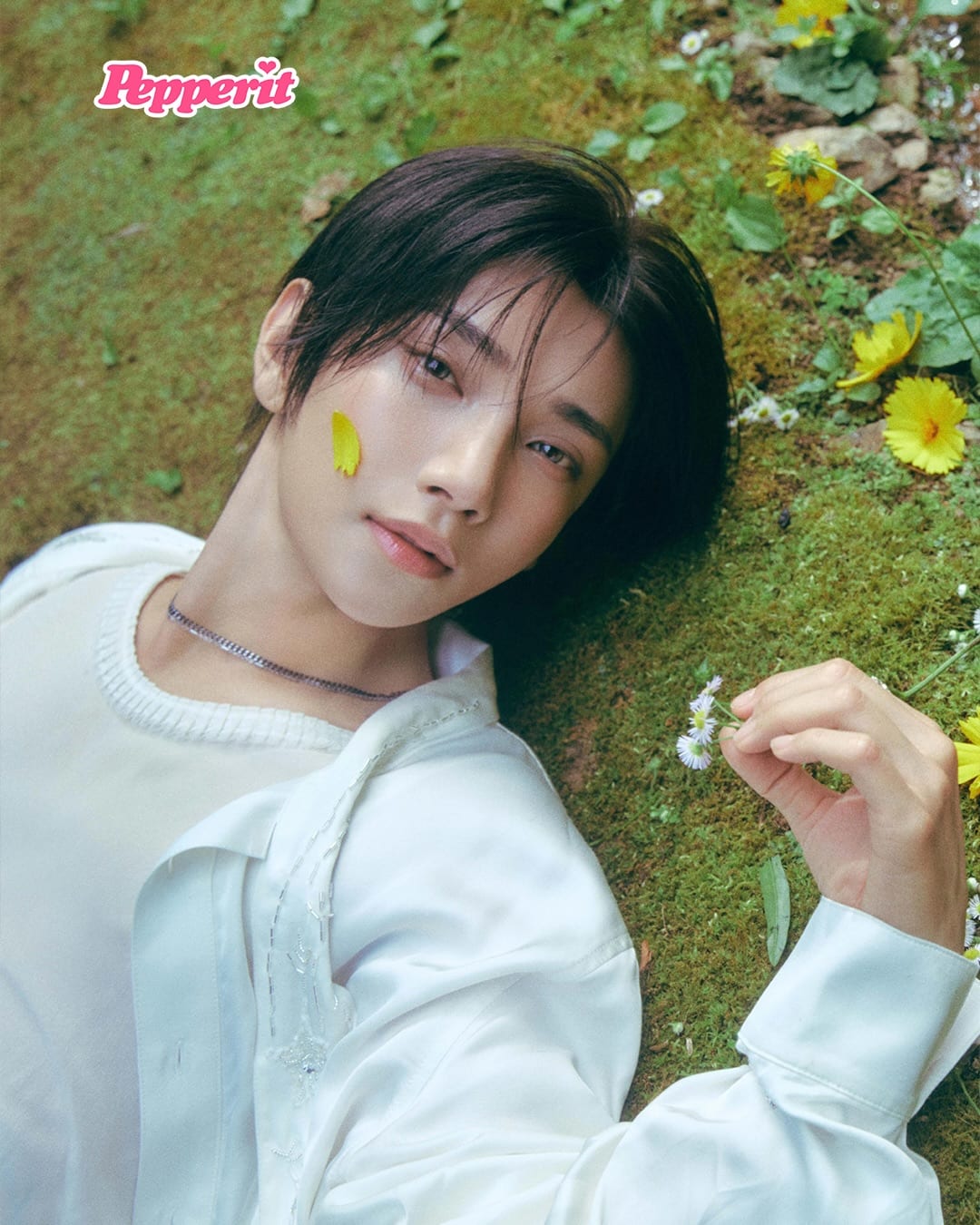 정한·조슈아, 꿈속 같은 'DREAMSCAPE' 첫 콘셉트 공개