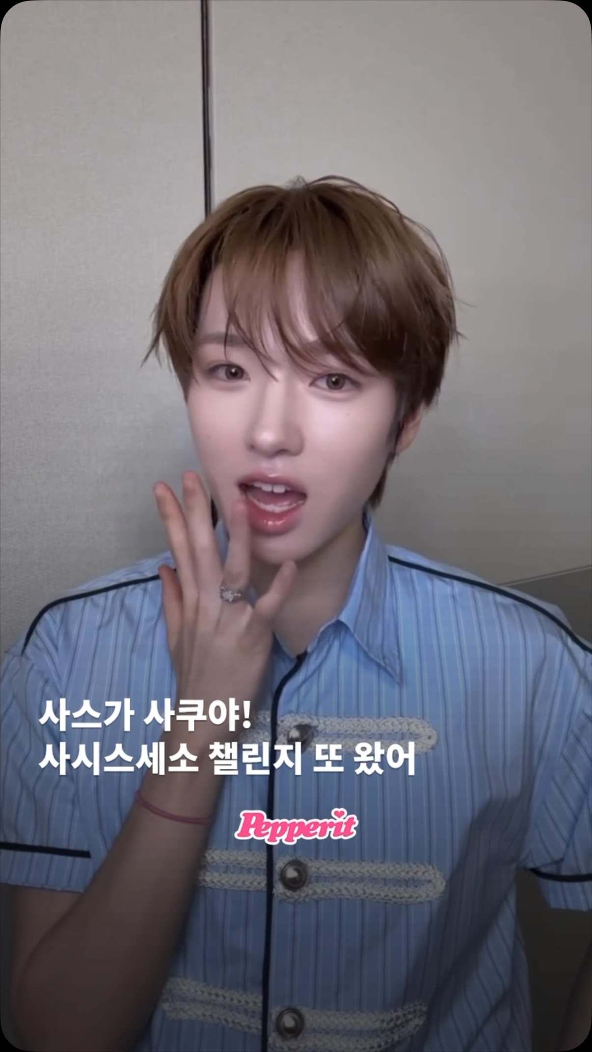 사시스세소 챌린지 권위자 사쿠야, 이번에도 완벽했다