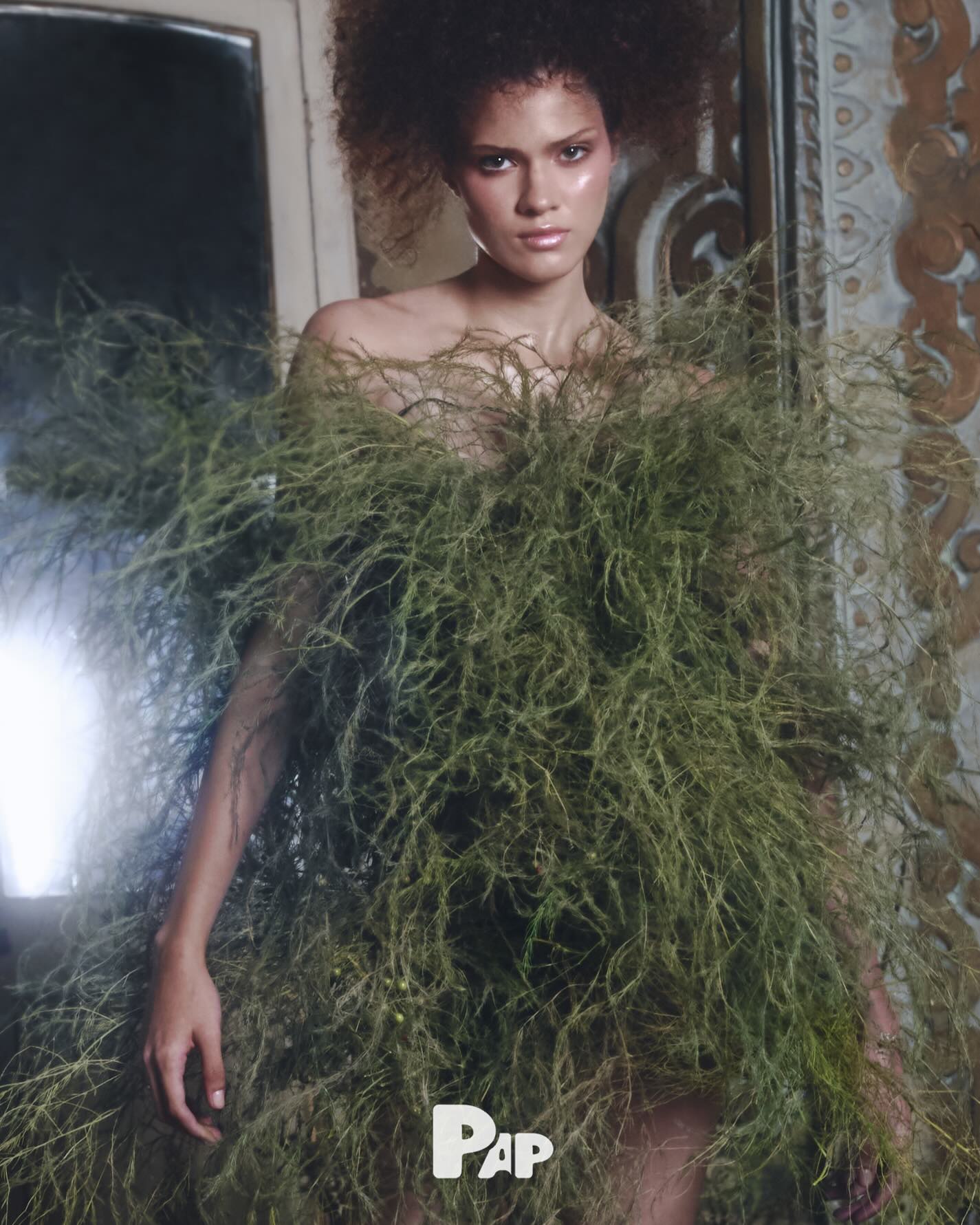 CELESTIA — Look 3