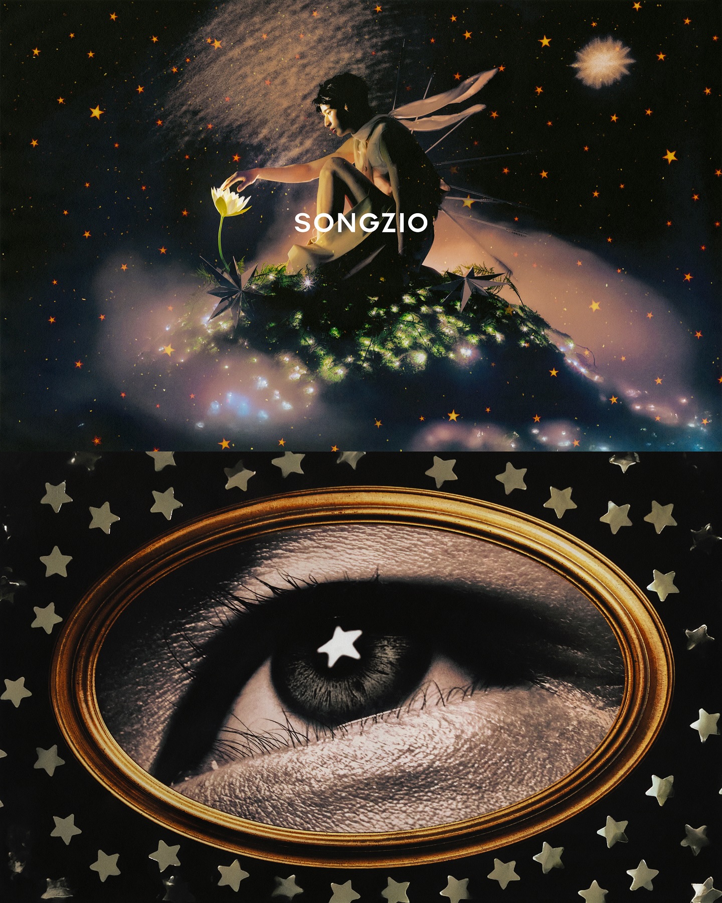 BRIGHT STAR — Look 7