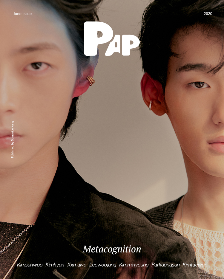 METACOGNITION — Cover