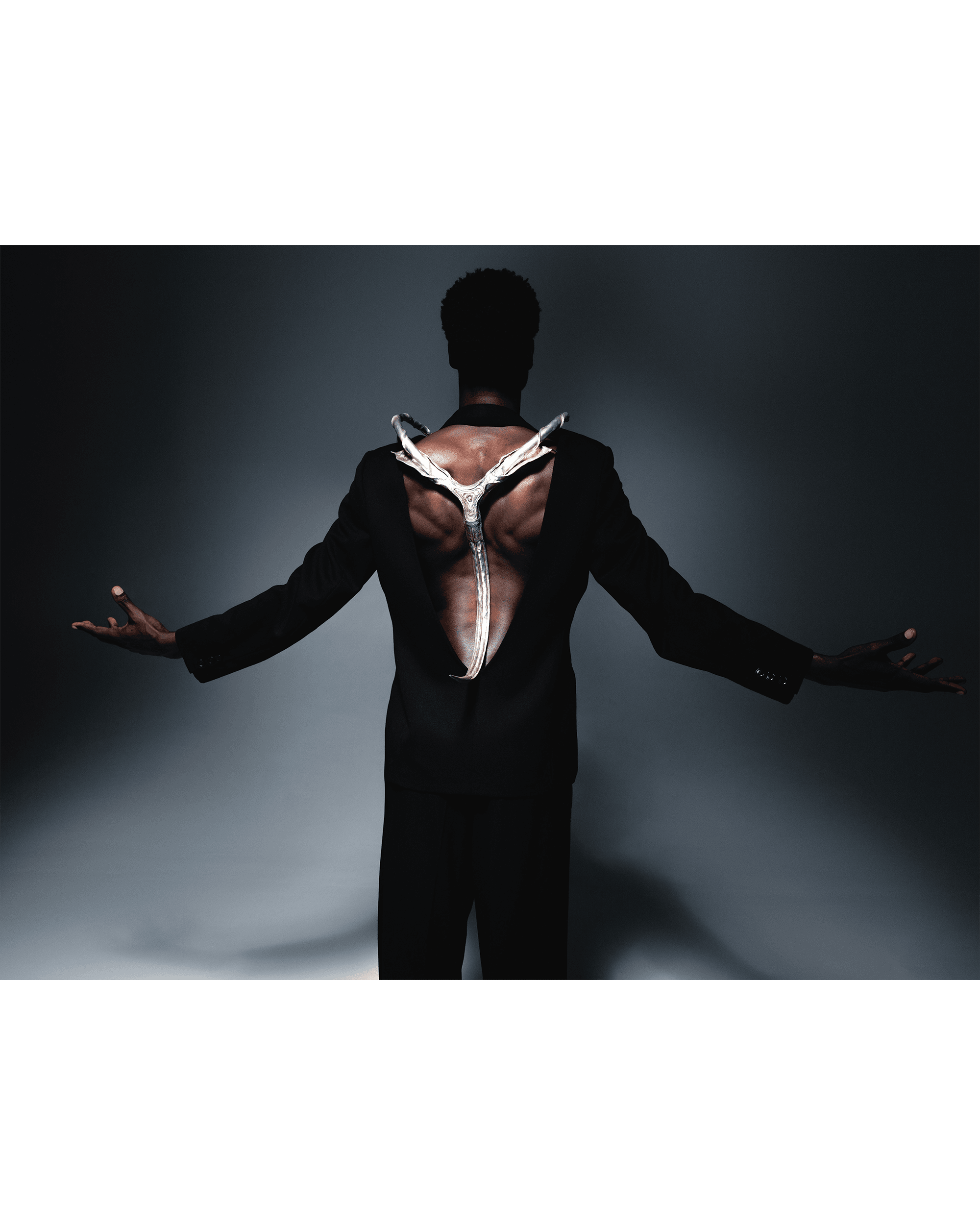 Metamorphosis of the Armour — Look 11
