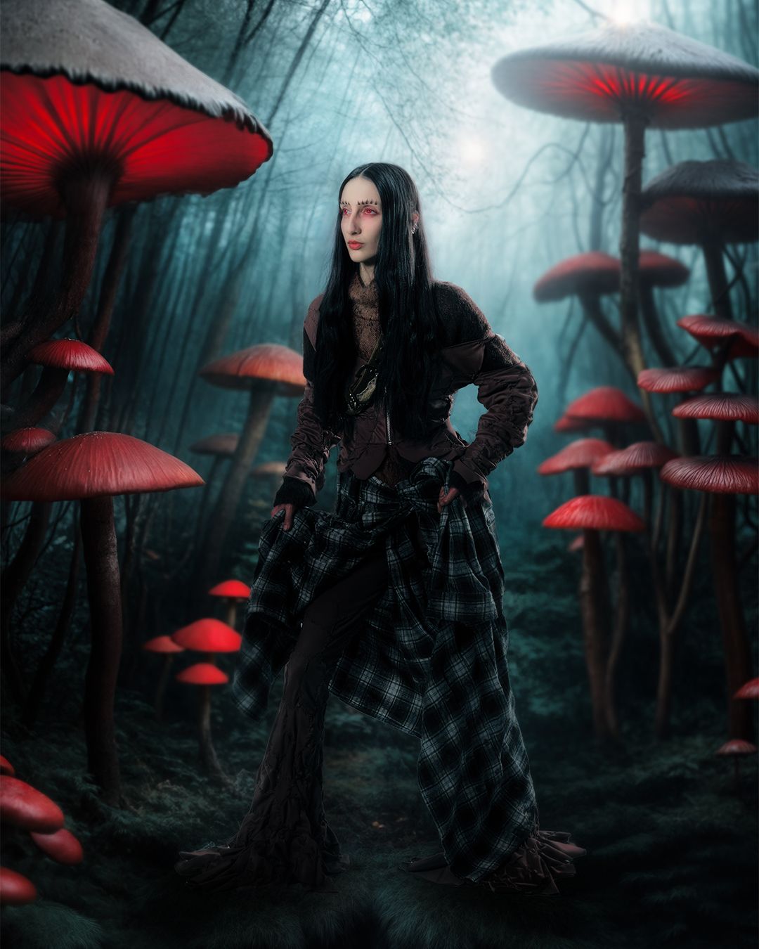 Fairy World — Cover