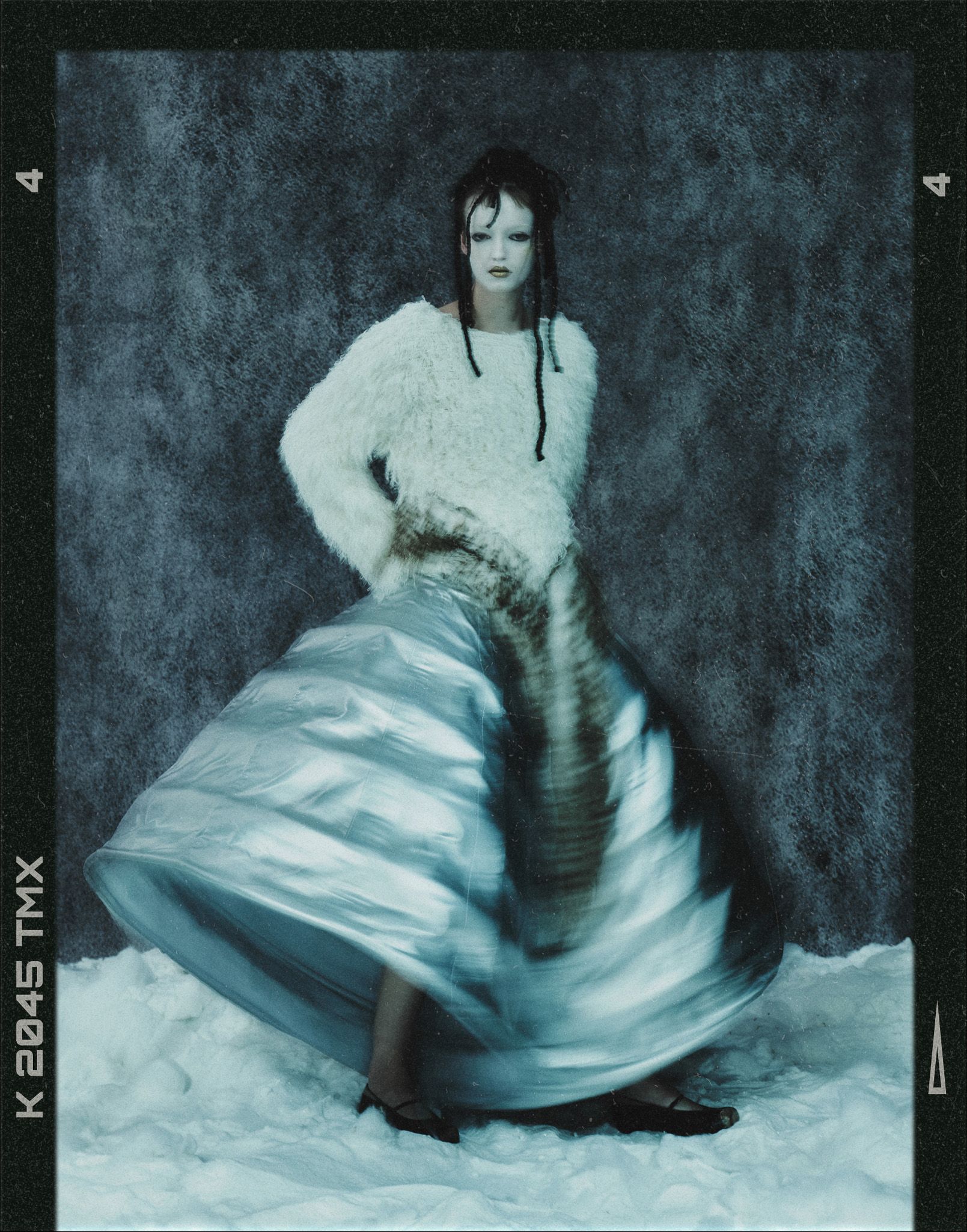 A fable of the Ice Age — Look 2