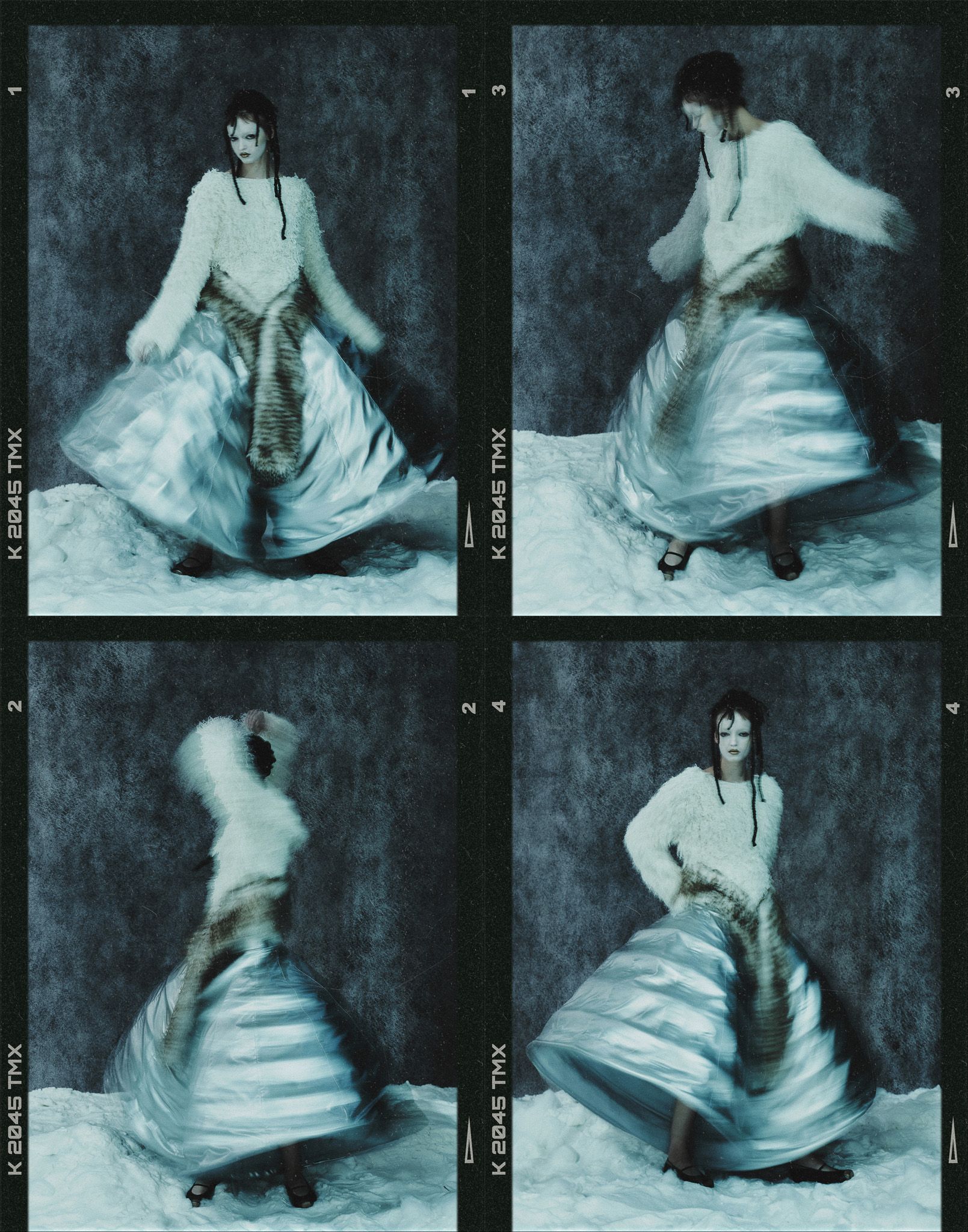 A fable of the Ice Age — Look 5