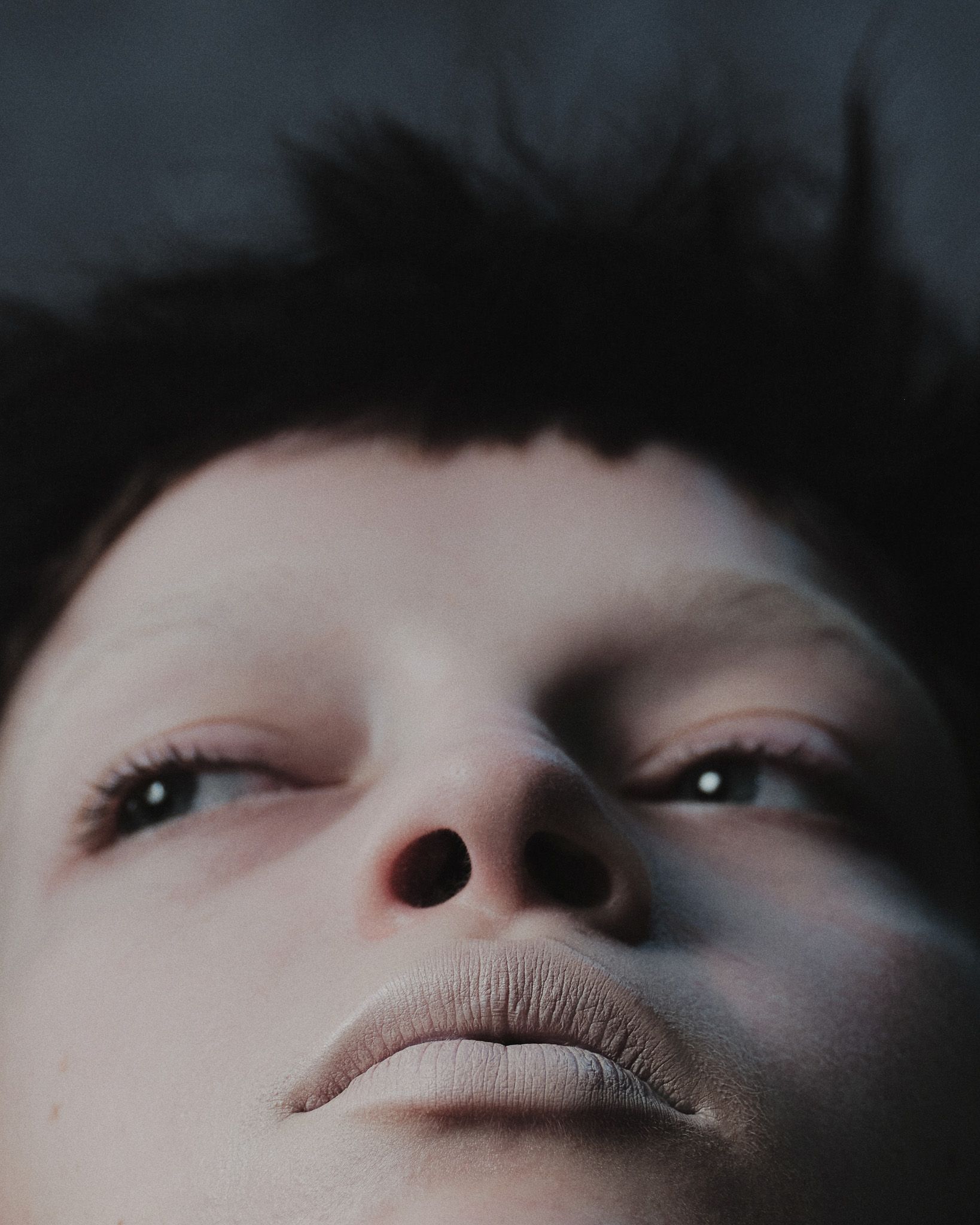 A fable of the Ice Age — Look 7