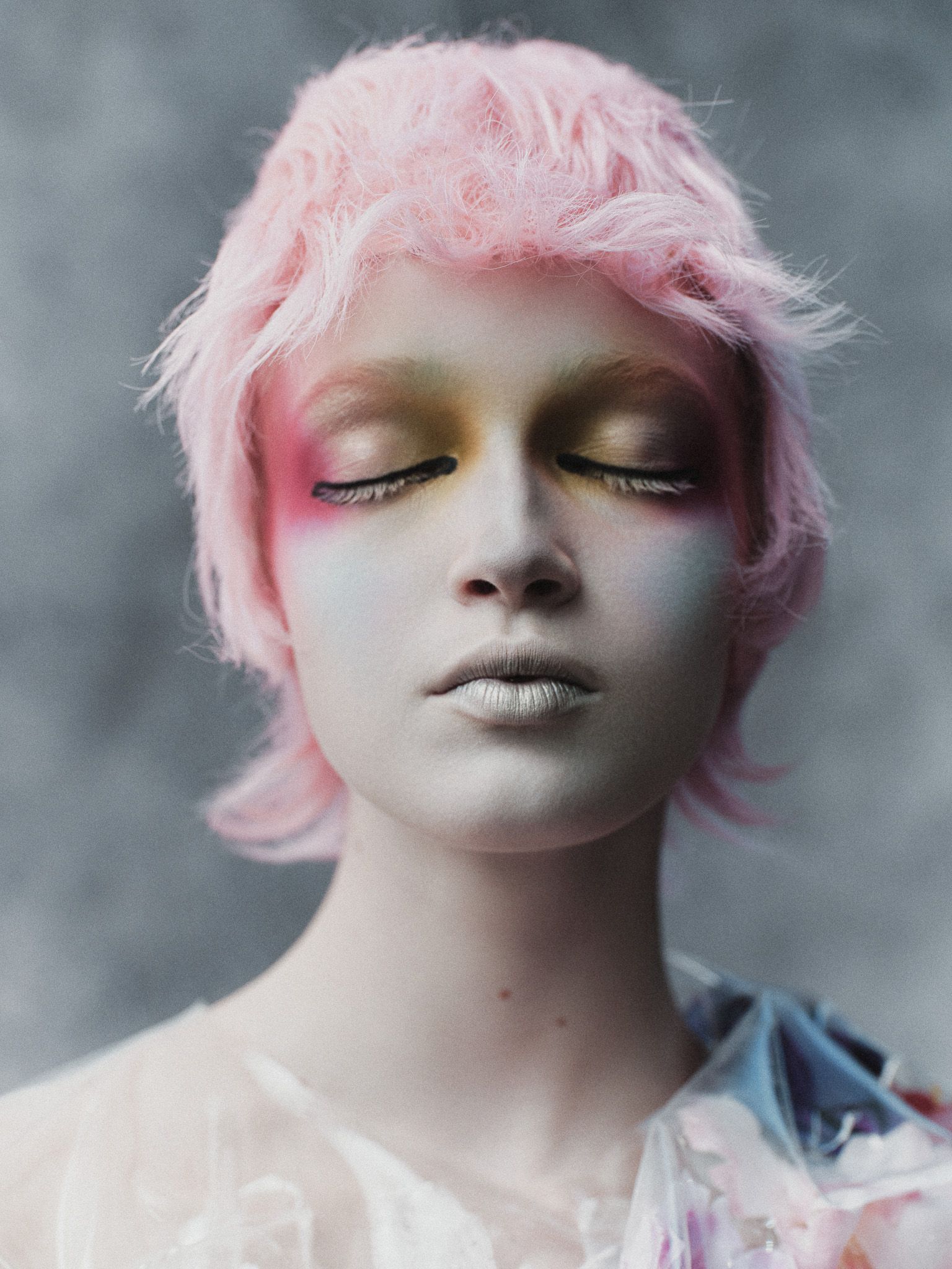 A fable of the Ice Age — Look 11