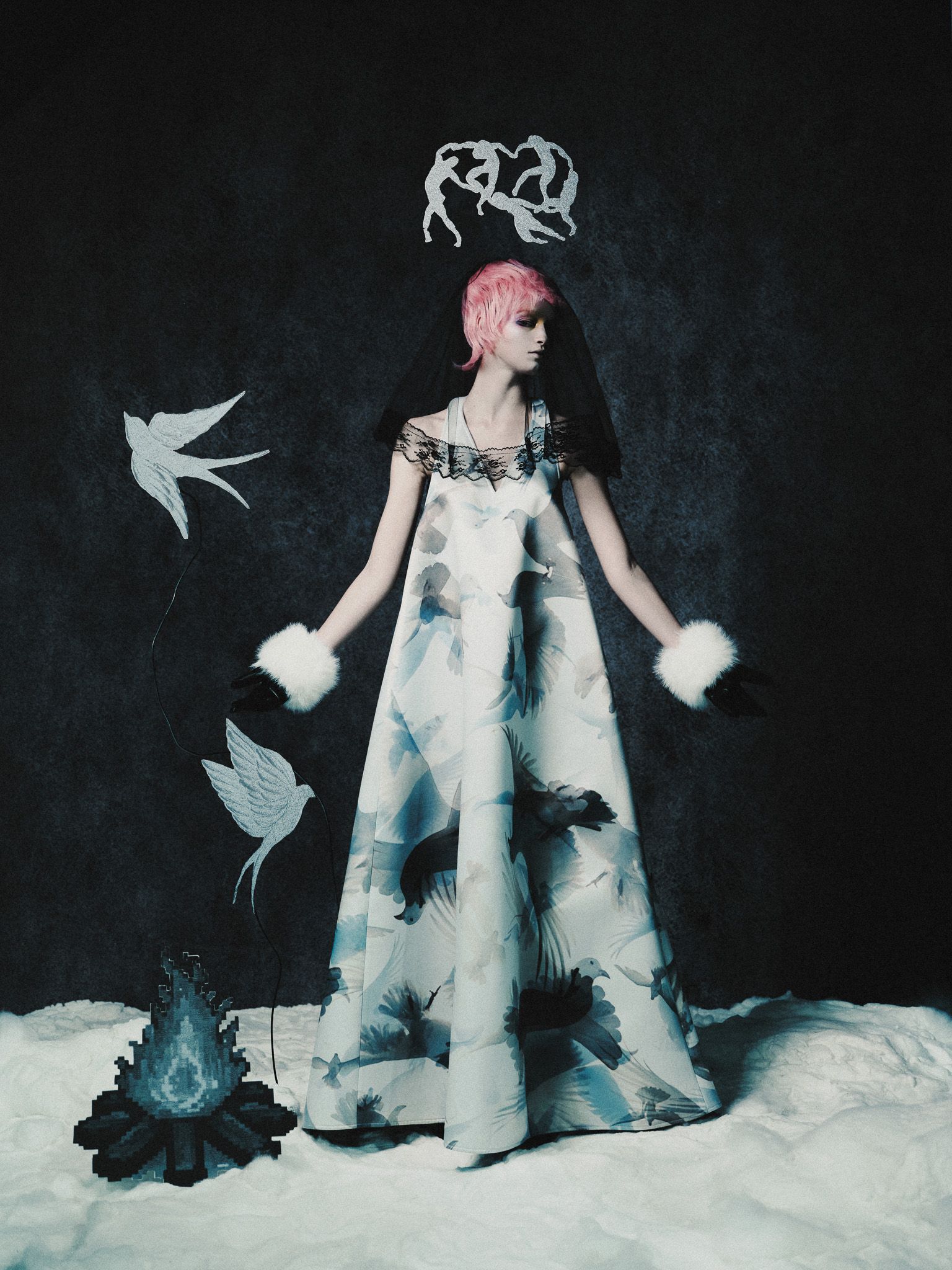 A fable of the Ice Age — Look 12