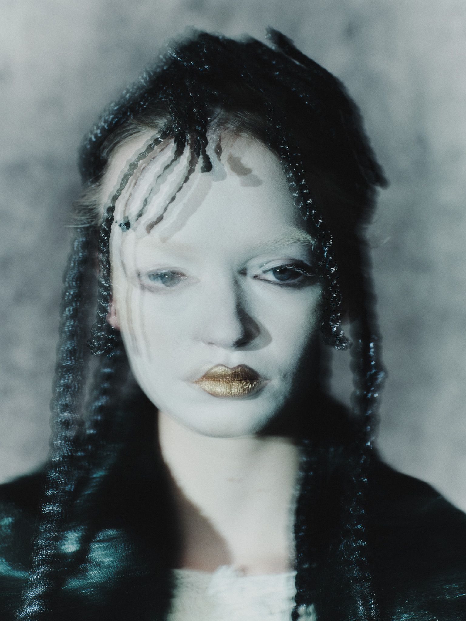 A fable of the Ice Age — Look 15