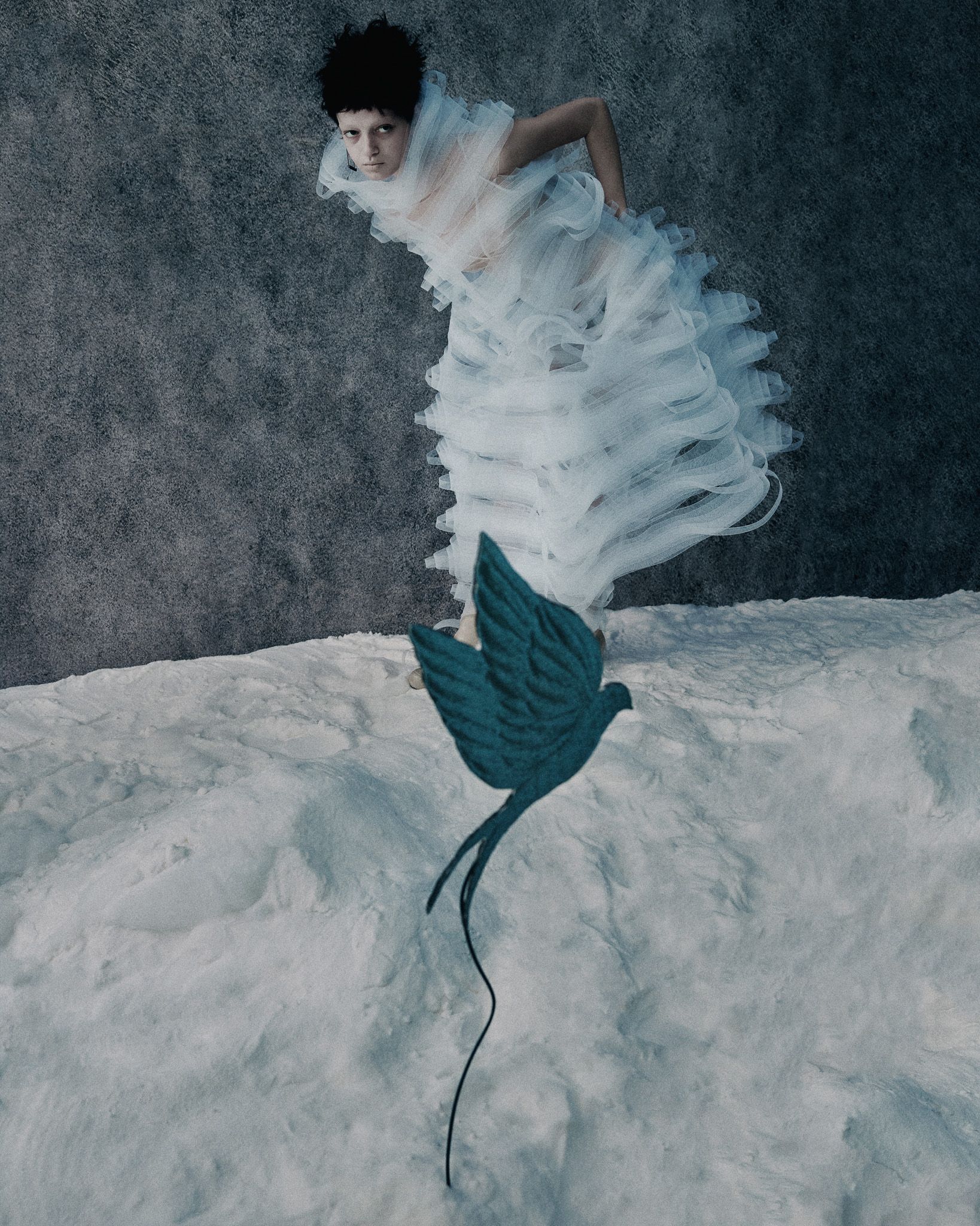 A fable of the Ice Age — Look 16