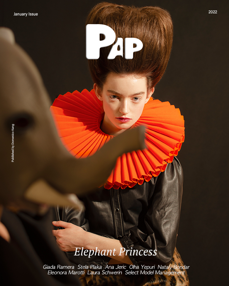 ELEPHANT PRINCESS — Cover