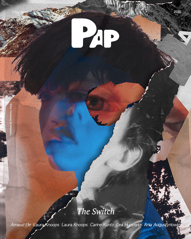 The Switch — Cover