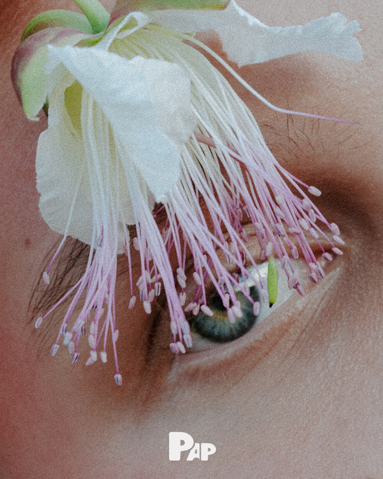 INTROSPECTION JOURNEY — Look 11