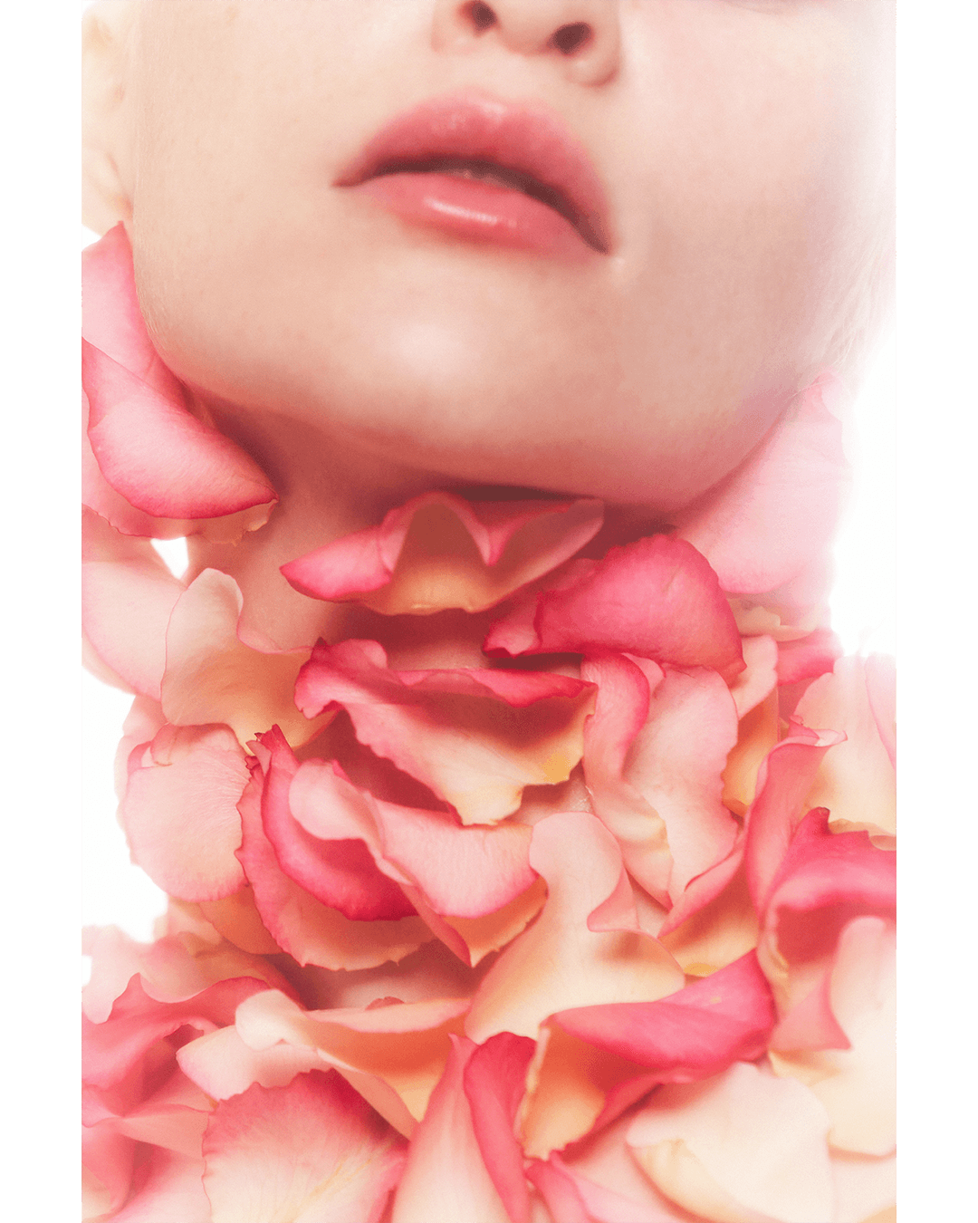 FLEURs — Look 3
