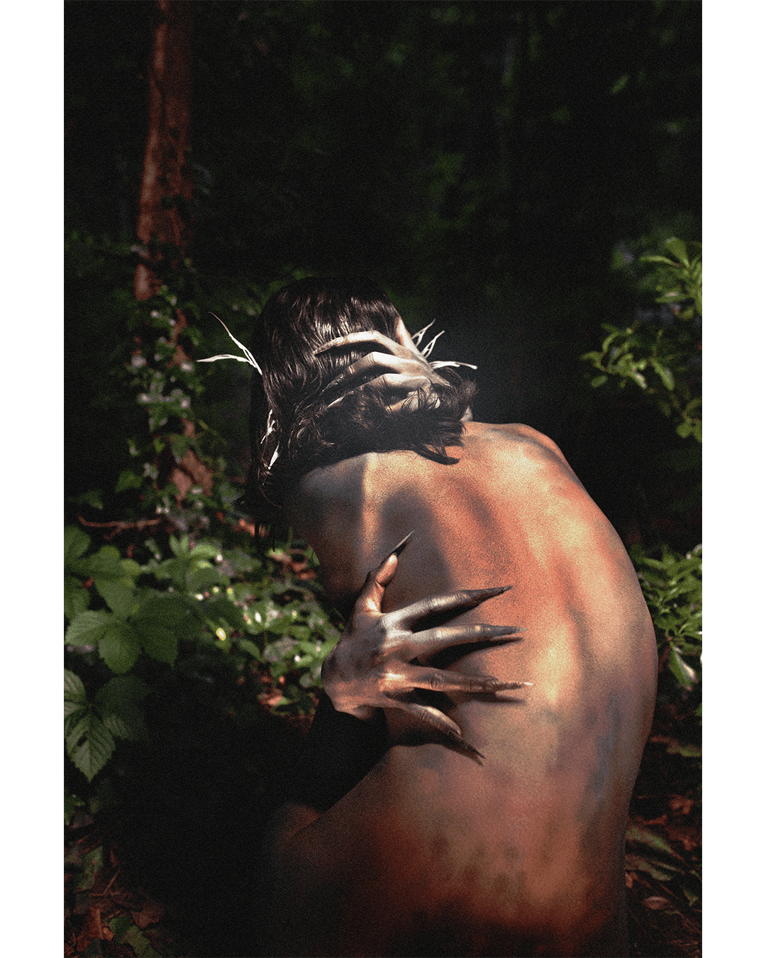 Noctural Jungle — Look 4
