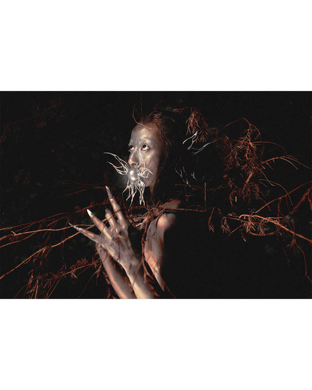 Noctural Jungle — Look 5