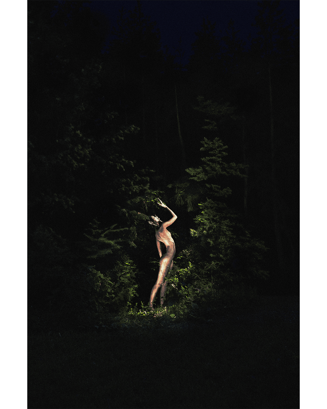 Noctural Jungle — Look 7