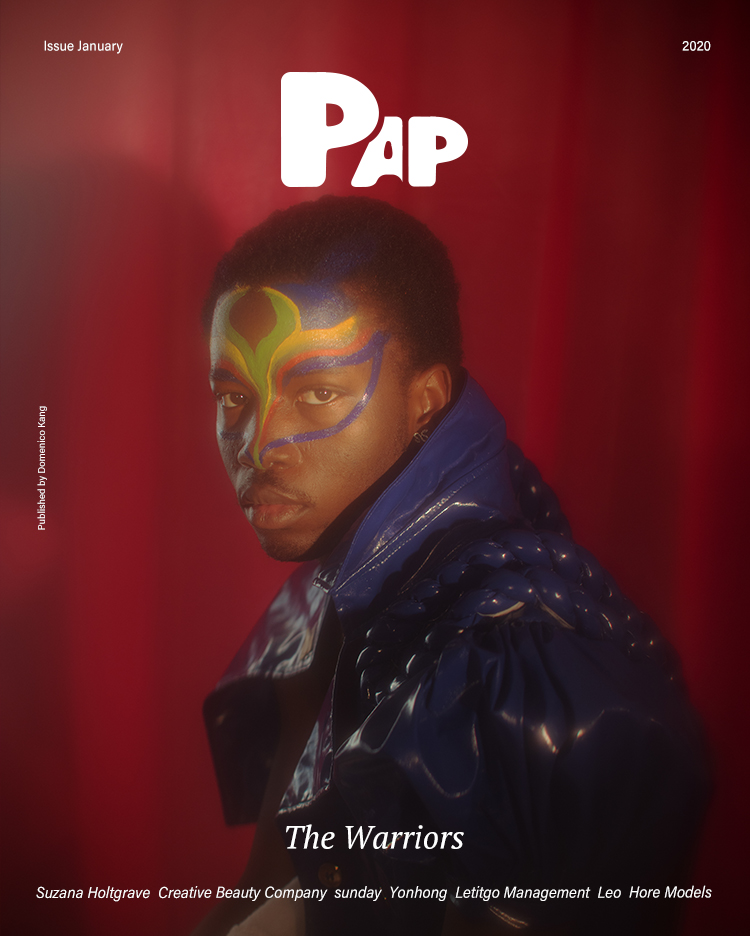 THE WARRIORS — Cover