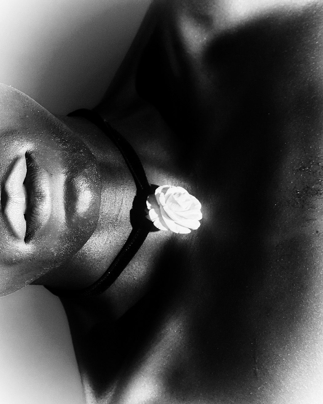 Distorted Reveire — Look 2