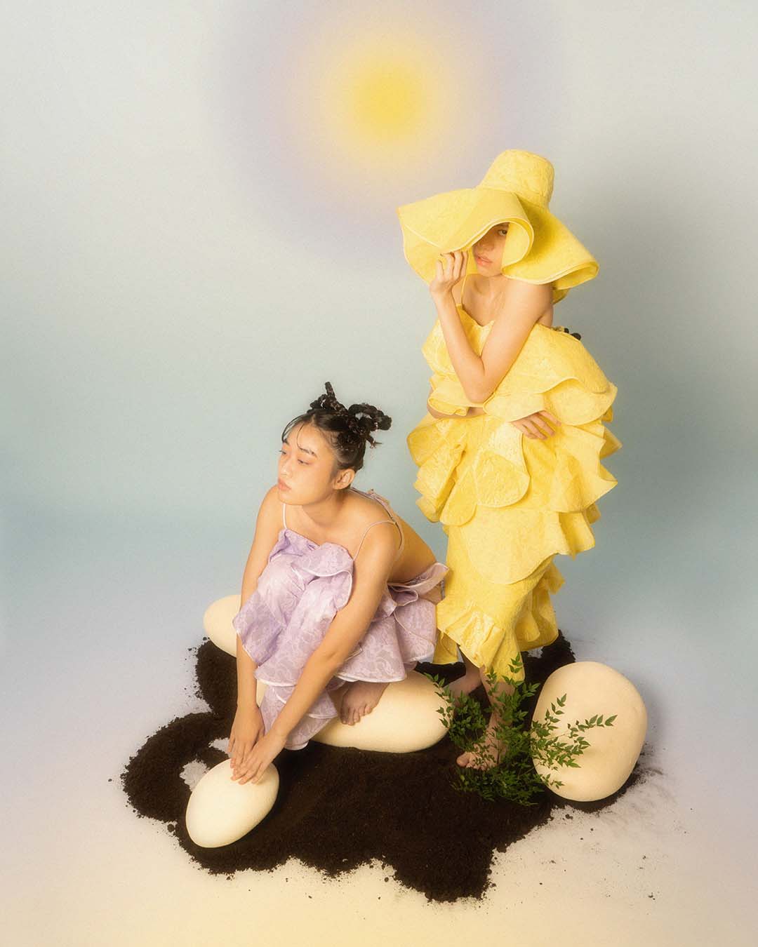 MUSHROOM — Look 2