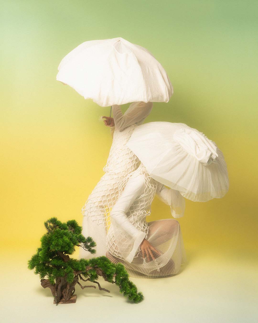 MUSHROOM — Look 3